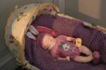 High-quality Bonnie All Silicone Reborn Doll with lifelike features and soft skin. Perfect for colle.