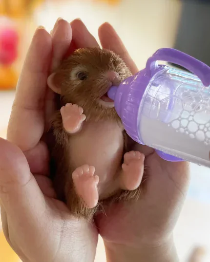 Small silicone puppy doll being fed with a baby bottle for realism.