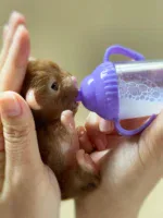 Small silicone reborn puppy being fed with a bottle by a person.